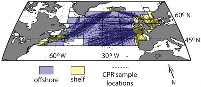 Large protistan mixotrophs in the North Atlantic Continuous Plankton Recorder time series: associated environmental conditions and trends